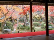 圓光寺本堂から見る十牛の庭と紅葉が美しい