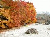紅葉・実相院