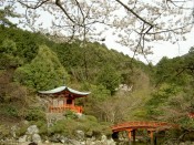 醍醐寺弁天堂と桜