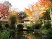 詩仙堂の紅葉