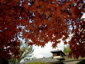 詩仙堂の紅葉