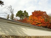 実相院築地塀と紅葉