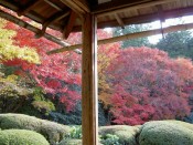 詩仙堂の紅葉