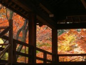 真如堂の渡り廊下と紅葉