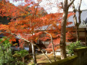 吟松寺の紅葉