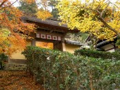 紅葉・寂光院