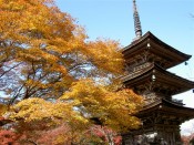 清水寺子安塔と紅葉