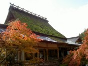紅葉・常照皇寺