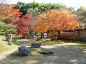 高台寺庭園の紅葉