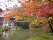 高台寺の臥龍池と紅葉