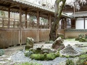 十輪寺三方普感の庭と桜