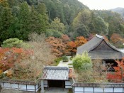 南禅寺三門から見た天授庵の紅葉