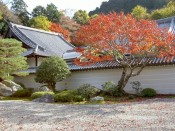 南禅寺の方丈庭園の紅葉