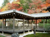 南禅寺の六道庭と紅葉