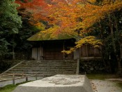 法然院の白砂壇と紅葉