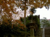 三室戸寺の紅葉