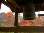 三室戸寺の鐘楼と紅葉