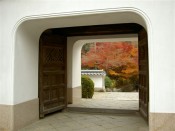 興聖寺山門と紅葉