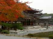 平等院鳳凰堂と紅葉