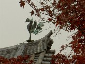 東福寺～平等院紅葉コース