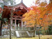 醍醐寺の鐘楼と紅葉