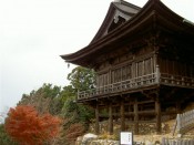 醍醐寺の如意輪堂と紅葉