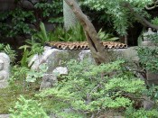 あの世への入り口