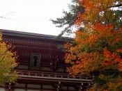 紅葉・鞍馬寺