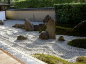 京都市バス205系統