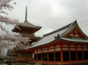 清水寺三重塔と経堂と桜