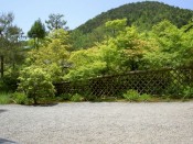 光悦寺「光悦垣」