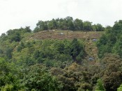 嵯峨の曼荼羅山（標高約278ｍ）