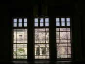 京都府庁旧本館の祇園枝垂れ桜
