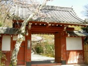 桜・常照寺