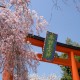 嵐山渡月橋～平野神社桜コース