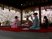 平野神社ではお琴の奉納