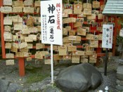 野宮神社「お亀石」