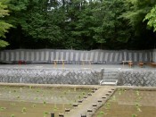 すでに苗が神田に投げ込まれている