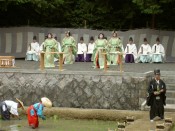 丁寧に苗が植えられる