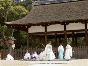 引き続き神官が二名一組になって交互に2本づつ矢を放つ