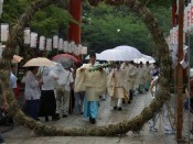 再び芽の輪に戻り