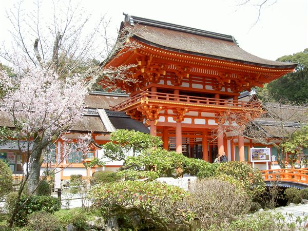 上賀茂神社楼門と賀茂桜